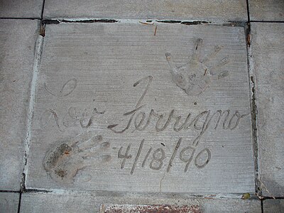 In which city was Lou Ferrigno born?
