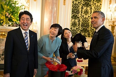 Who was Shinzo Abe's prime competitor for LDP leadership in 2012?