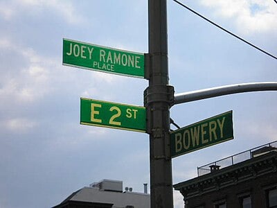 What was Joey Ramone's birth name?