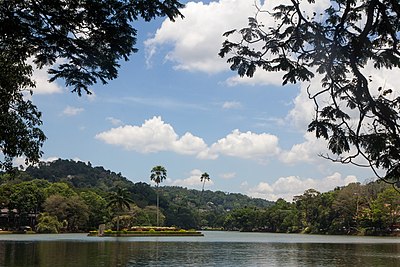 Which type of plantation is most common in the Kandy plateau?