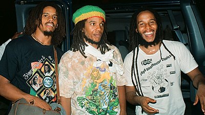 Which of these is a book written by Ziggy Marley?