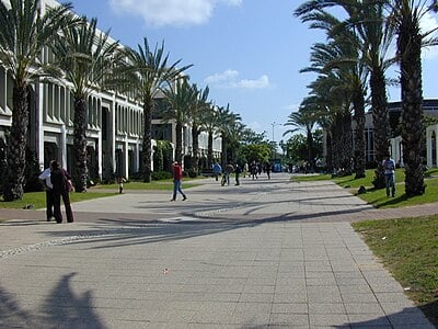 In which year was Tel Aviv University established?