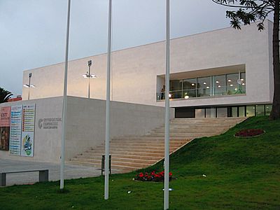 How many museums are there in Caldas da Rainha?