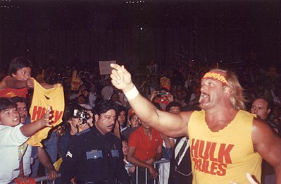 Which award did Hulk Hogan receive in 2007?