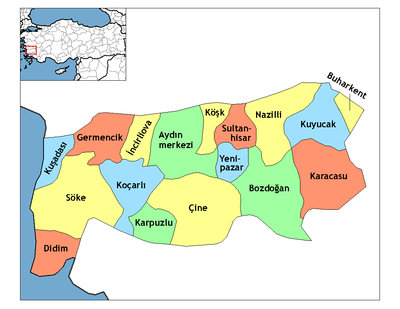 What district forms the urban part of Aydın?