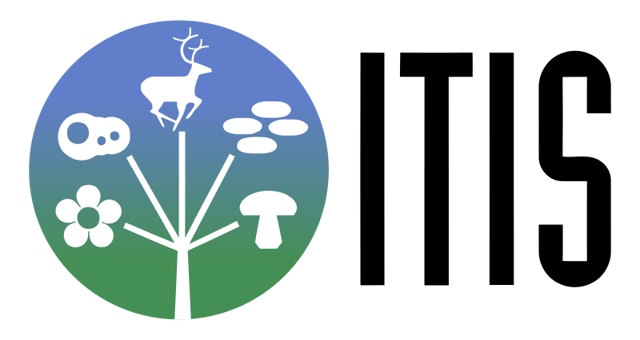 Integrated Taxonomic Information System