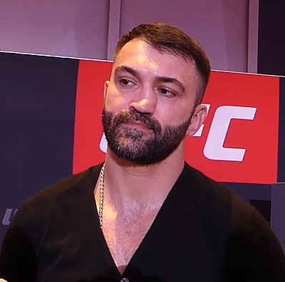 What former title does Andrei Arlovski hold?