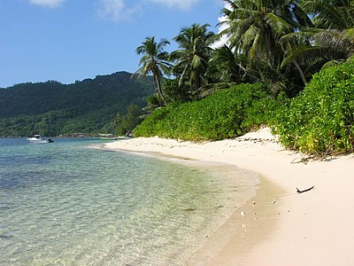 DE is the country code of [url class="tippy_vc" href="#582"]Germany[/url]. [br] Can you tell what Seychelles's country code is?