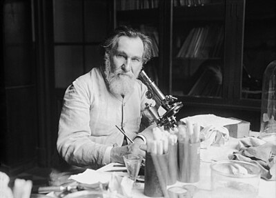 What discovery by Élie Metchnikoff served as the basis for the science of immunology?