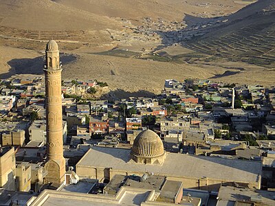 Which organization protects Mardin's old town?