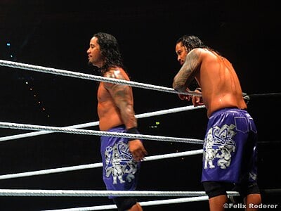 What is the longest male tag team championship reign in WWE history held by The Usos?
