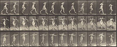 What device did Muybridge invent for projecting motion pictures?