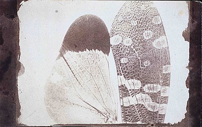 What title was Henry Fox Talbot known by?