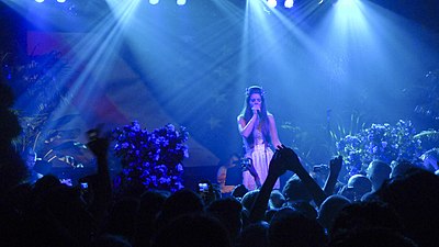 Which of the following fields of work was Lana Del Rey active in?
