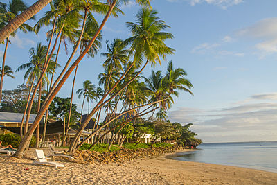 Fiji can be found on the continent of Insular Oceania.[br]Is this true or false?