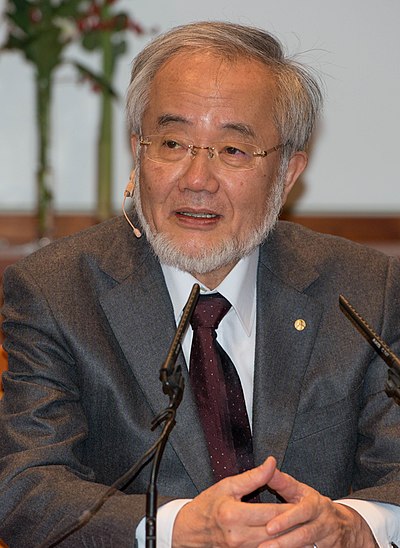 Ōsumi Yoshinori