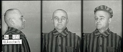 What is one of the codenames used by Witold Pilecki?