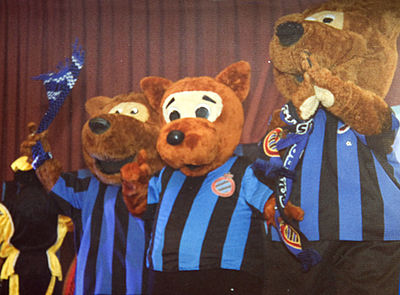 How many times has Club Brugge reached the semi-finals of a European competition?