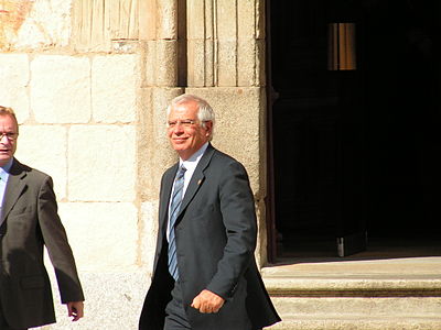 When did Borrell first enter Spanish politics?