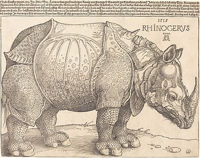 What genres best describes Albrecht Dürer?[br](select 2 answers)