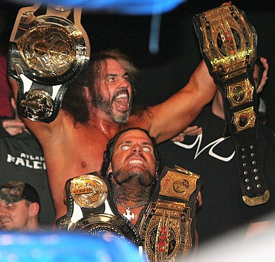 In 2017, the Hardy Boyz held seven tag team championships from seven different companies simultaneously. Which two major titles were among these?