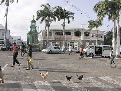 What is the area occupied by Basseterre?