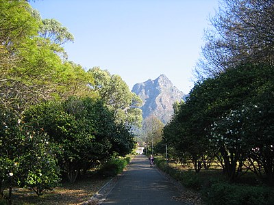In which year was the University of Cape Town established?