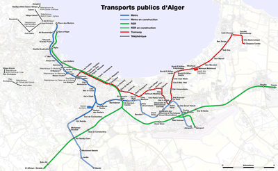 What is the primary mode of public transportation in Algiers?
