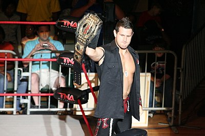 Who was Alex Shelley's tag team partner in New Japan Pro-Wrestling (NJPW)?