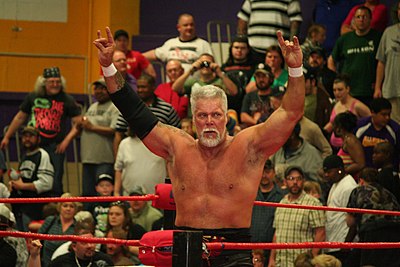 For how many years did Kevin Nash perform in TNA?