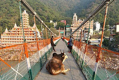 What is the annual event that Rishikesh is famous for?