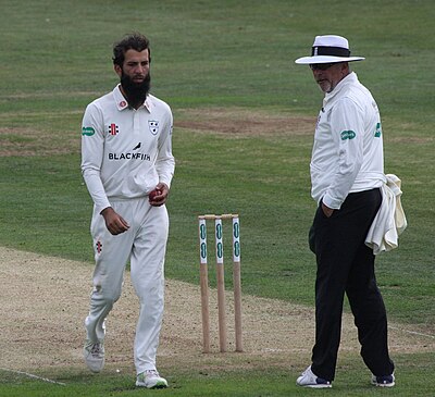 What position does Moeen Ali play as?