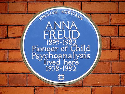 Which field did Anna Freud contribute to?