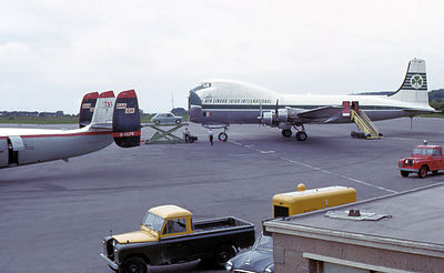What is the main sector in which Aer Lingus operates?