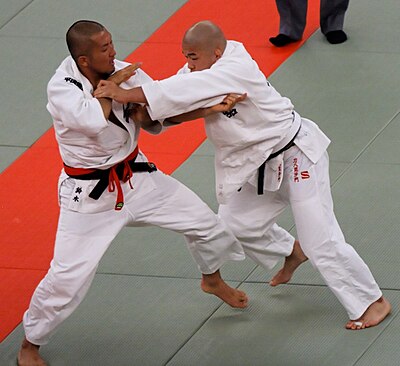 Which martial art earned Satoshi Ishii a gold medal in the Olympics?