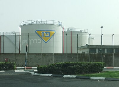 What is the name of Paz Oil Company's subsidiary that operates combined cafes and stores?