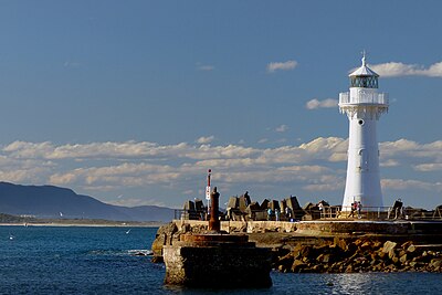 What is the primary activity of Wollongong's port?