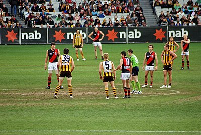 In which year did Hawthorn's women's team join the AFL Women's competition?