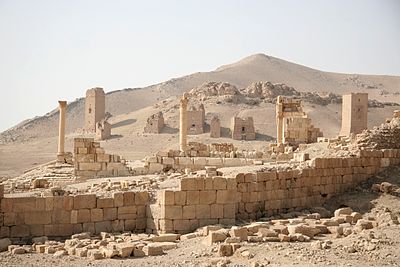 Which distinctive architectural feature is associated with Palmyra?