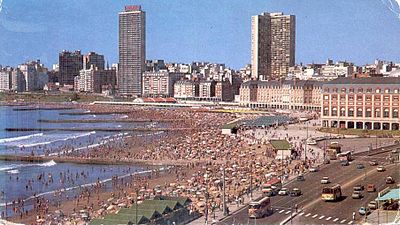 What is the name of the main shopping district in Mar del Plata?