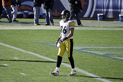 What is the name of the 2012 movie in which Hines Ward made a cameo?