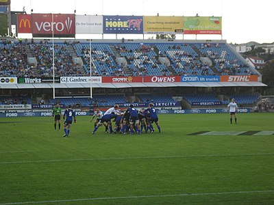 In which year was the Blues rugby team established?