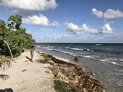 Which school is located in Bikenibeu, South Tarawa?