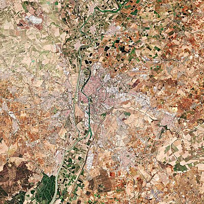 What is the elevation above sea level of Seville?