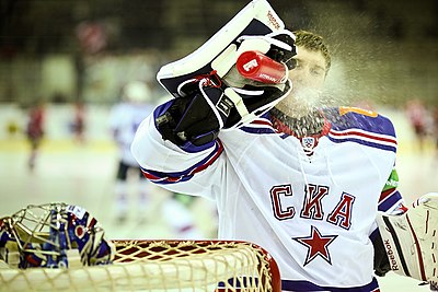 Which team does Sergei Bobrovsky currently play for?