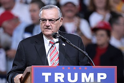 What percentage of the vote did Arpaio garner in his 2022 bid for the Mayor of Fountain Hills?