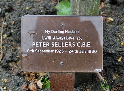 In which city was Peter Sellers born?