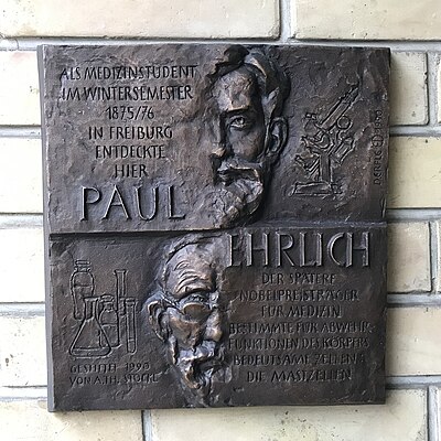 What did Paul Ehrlich do for the Paul Ehrlich Institute?