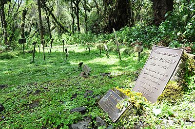 Which research center did Fossey establish?