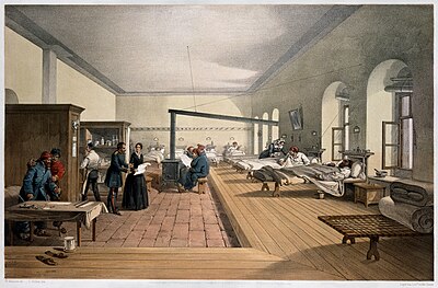 What was the primary focus of Florence Nightingale's published work during her lifetime?